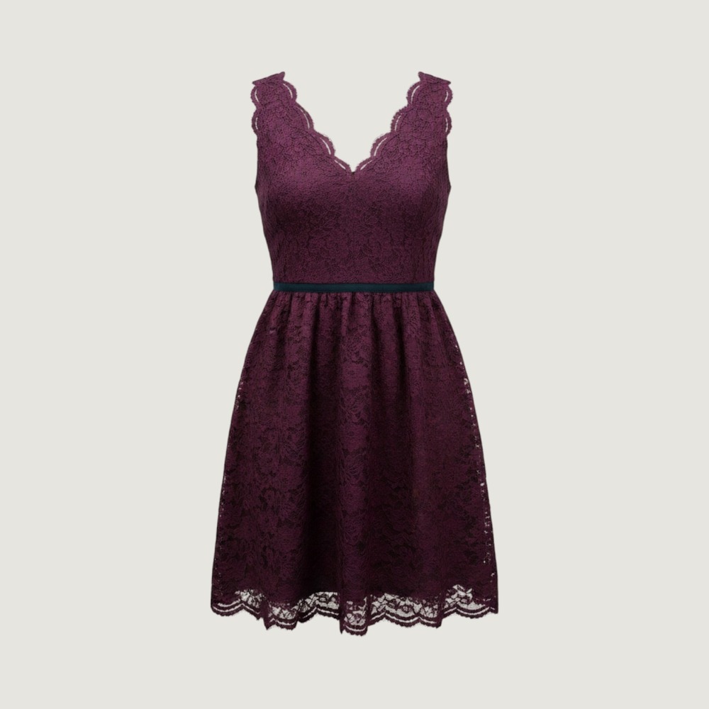 Loft Burgundy Floral Lace V-Neck A-Line Cocktail Dress Sleeveless Maroon Size 2